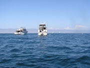 More Catalina 529.jpg: 2005/07/24 - Catalina - 2005